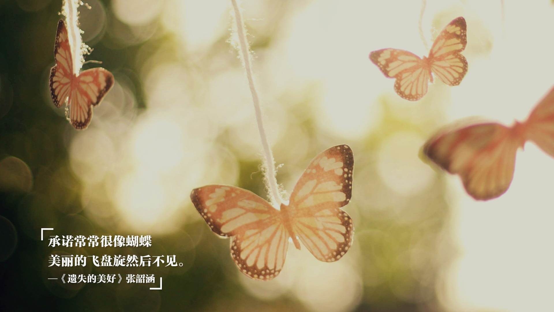 世纪解法，当福克斯撕裂防守，老鹰振翅焚毁热火铁索连舟