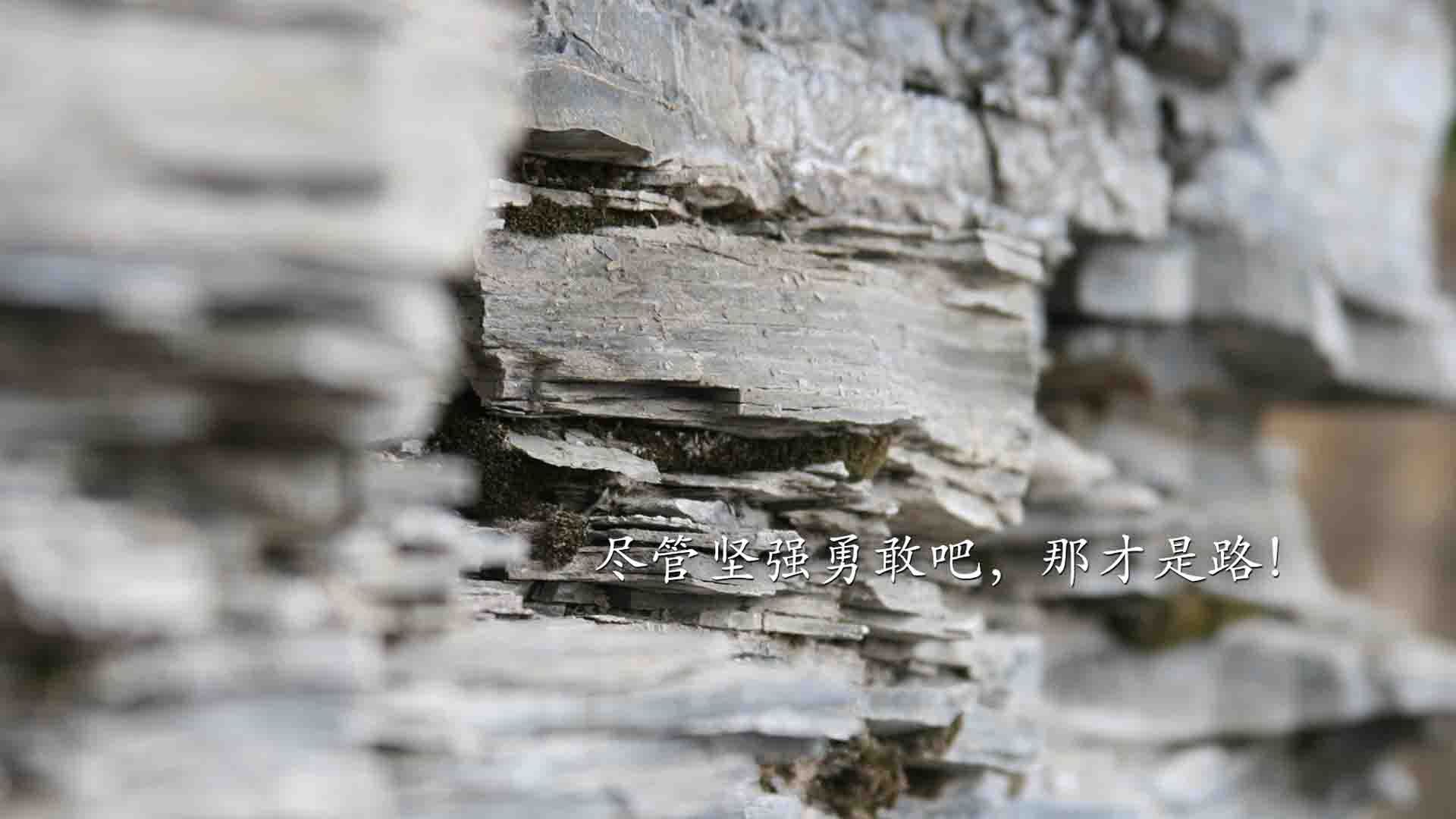 速度与梦想,F1新赛季揭幕战之夜,三笘薰在英超赛场证明自己