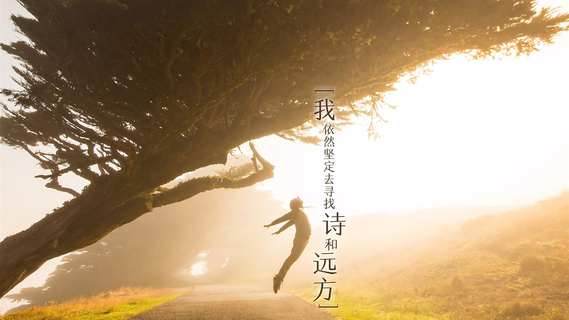 巨人捕手，米切尔如何以一人之力主宰晋浙大战